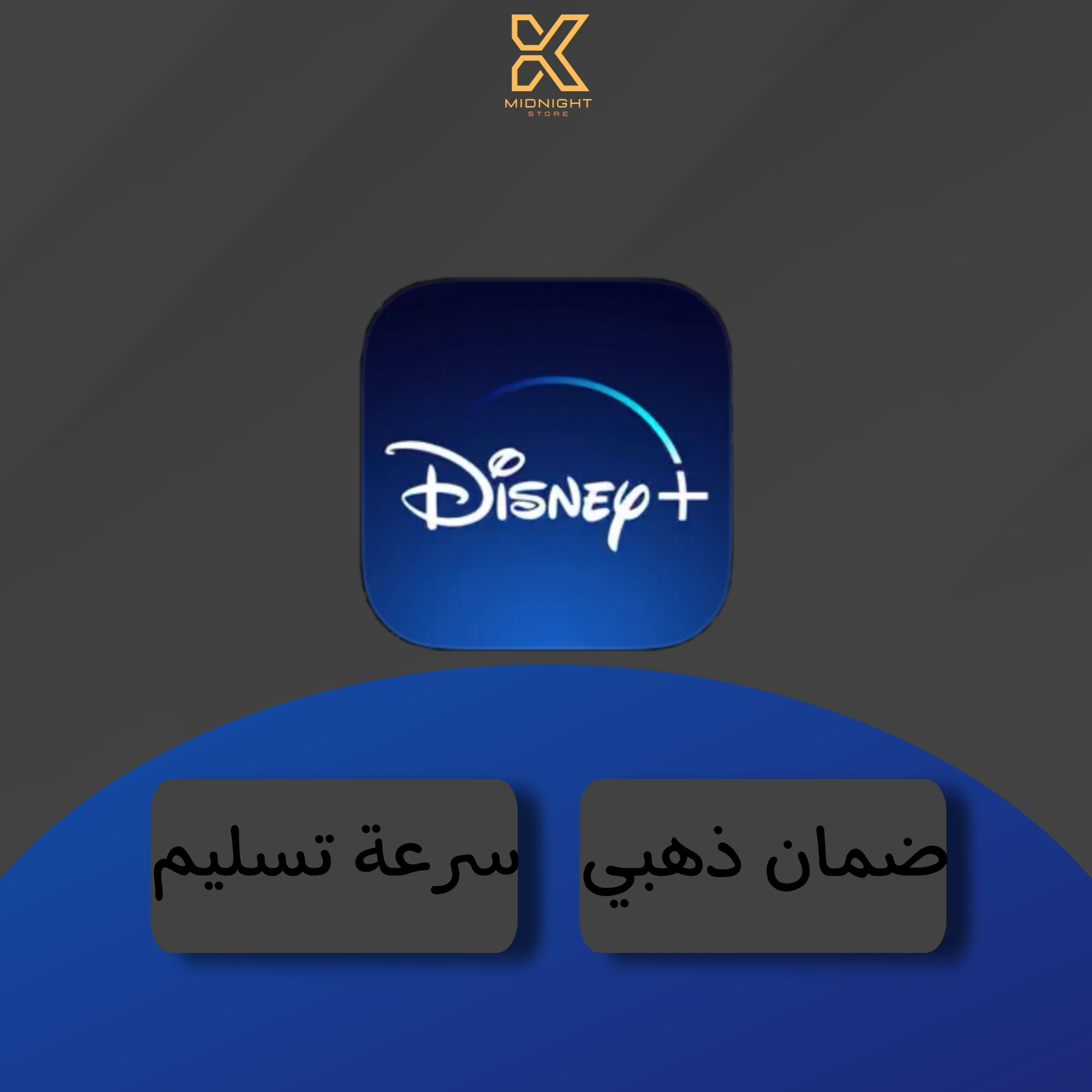 دزني شهر | ملف خاص